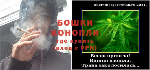 сатива Абинск