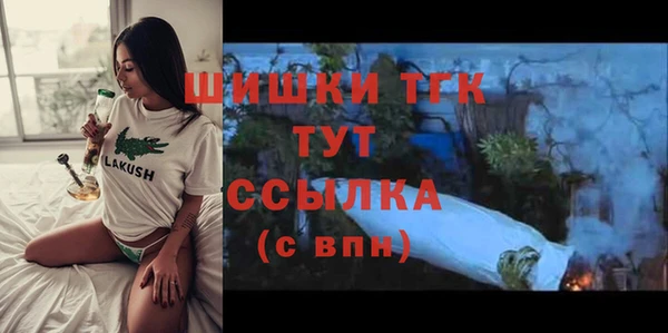 прущие крисы Абаза