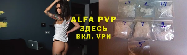 сатива Абинск
