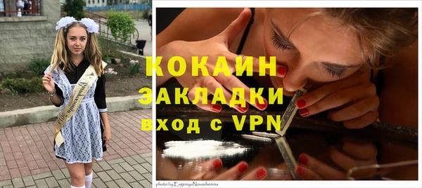 сатива Абинск