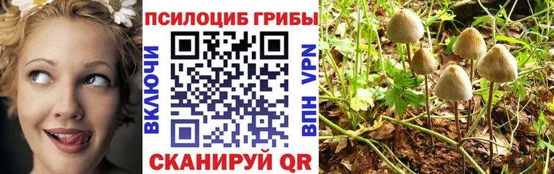 как найти наркотики  Серпухов  Псилоцибиновые грибы Magic Shrooms 